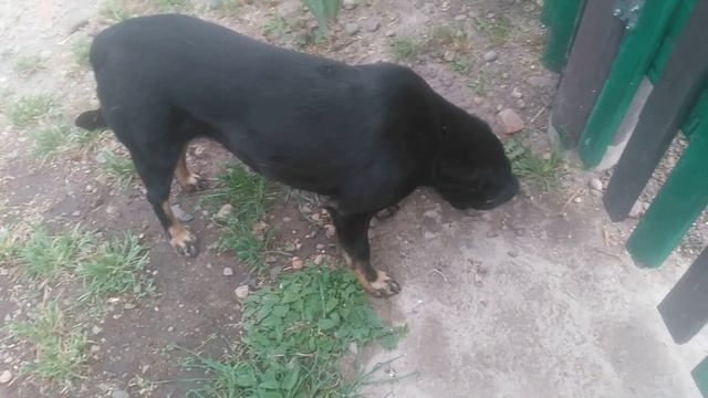 1 сезон 3 серия знакомство