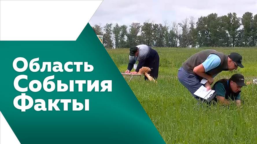 ОБЛАСТЬ. СОБЫТИЯ. ФАКТЫ. № 512