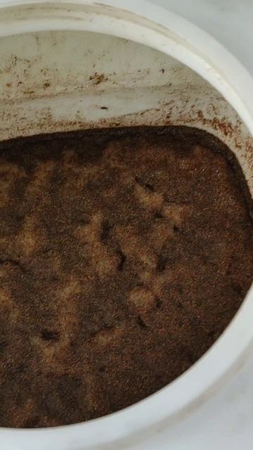 Рисово-ржаной затор на ферментах