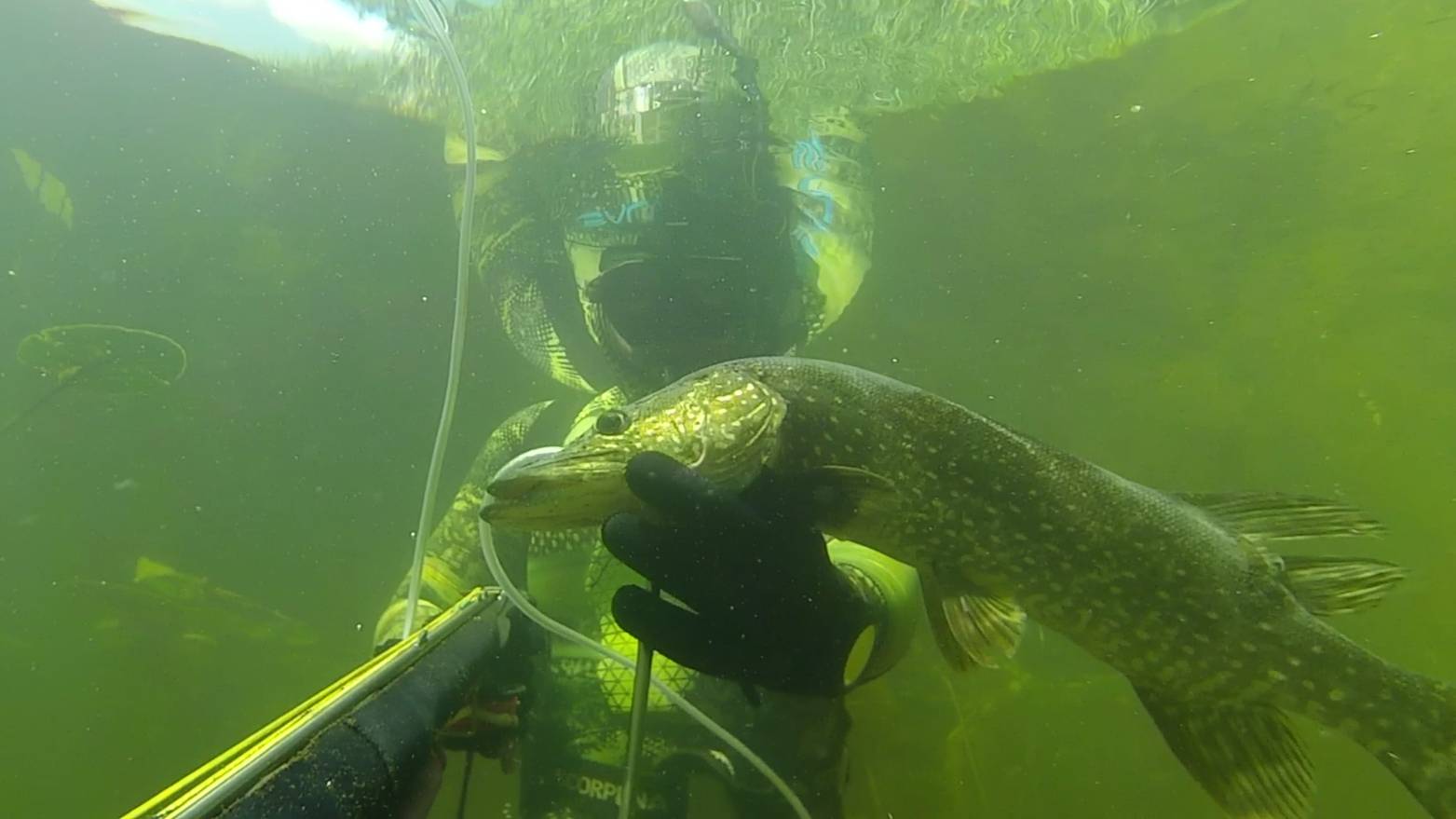 Подводная охота на малой реке Сплав Трудовой поиск рыбы с арбалетом