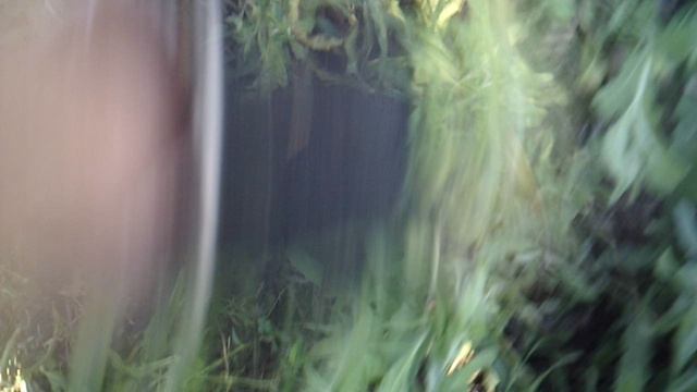 Прополка огорода вручную (фрагмент)