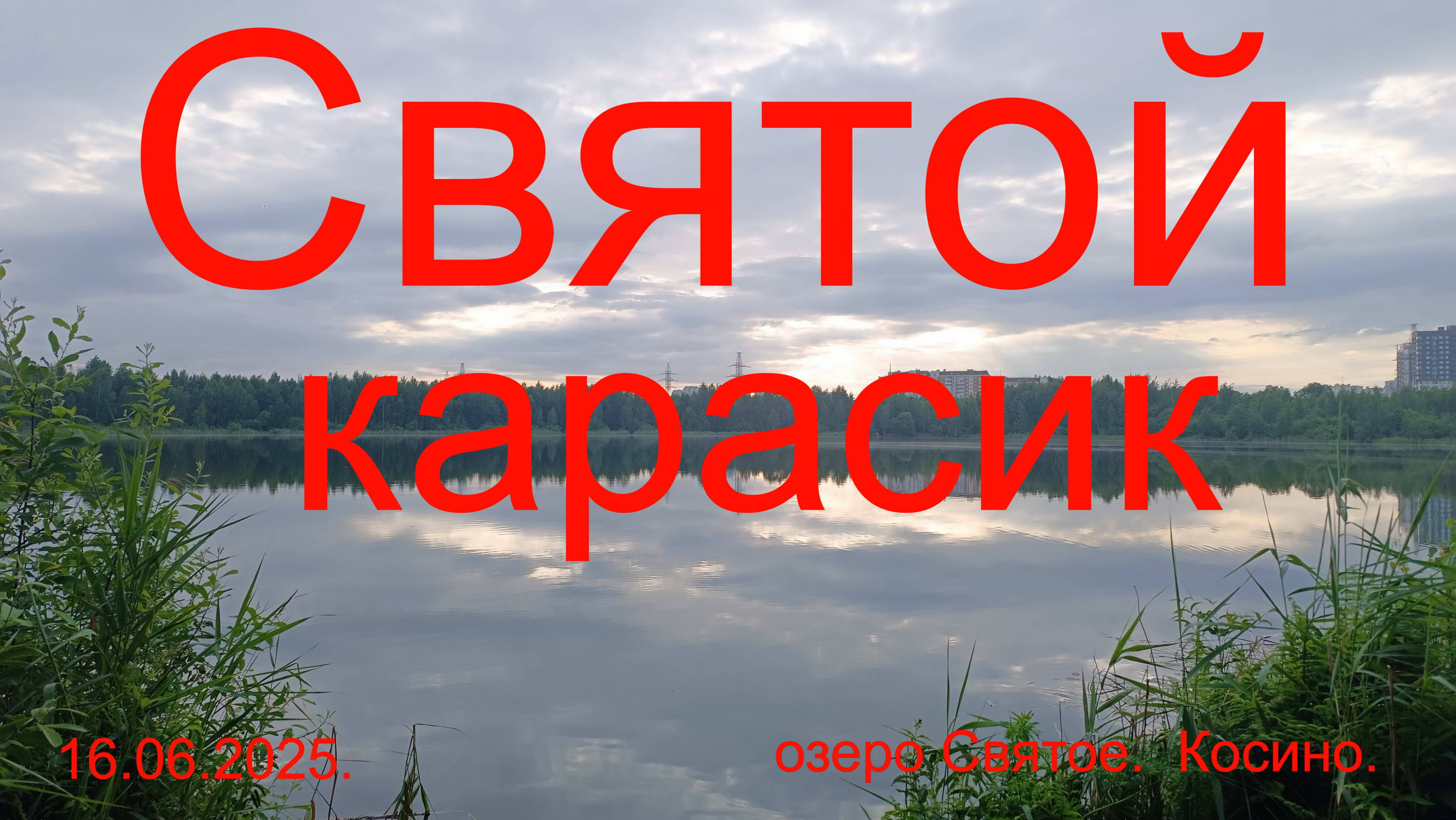 Святой карасик. 16.06.2025. озеро Святое.  Косино.  Рыбалка в Москве.