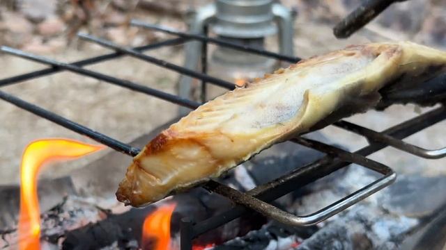 CAMP 40 осень в лесу. палатка. рыба на гриле