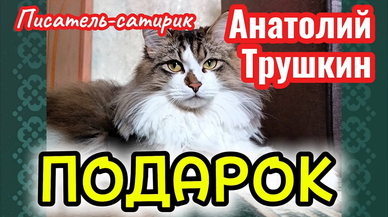 Юмор. АНАТОЛИЙ ТРУШКИН лучшее.