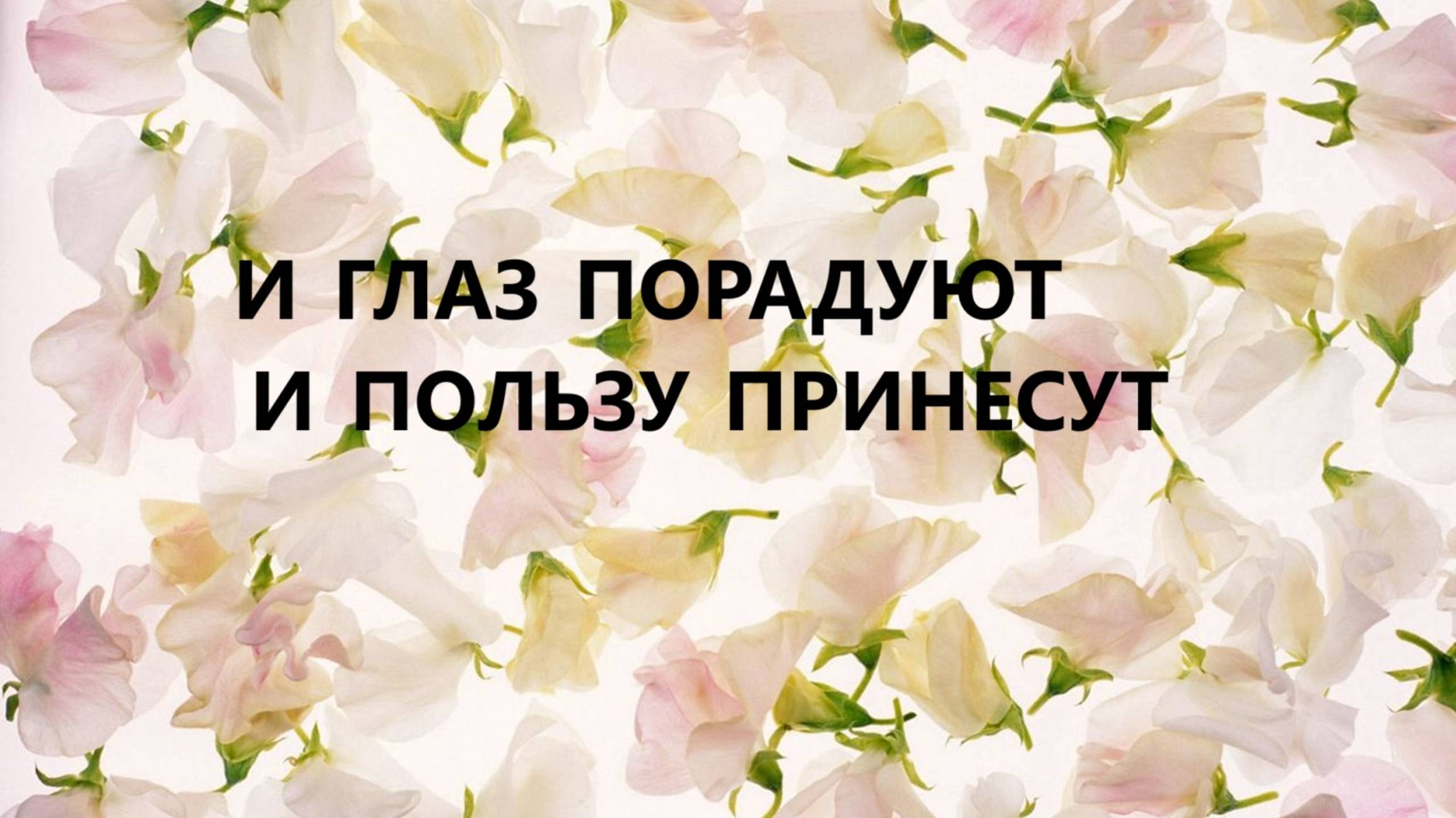 Настенные органайзеры.Лоскутное шитьё.(июль 2025г)