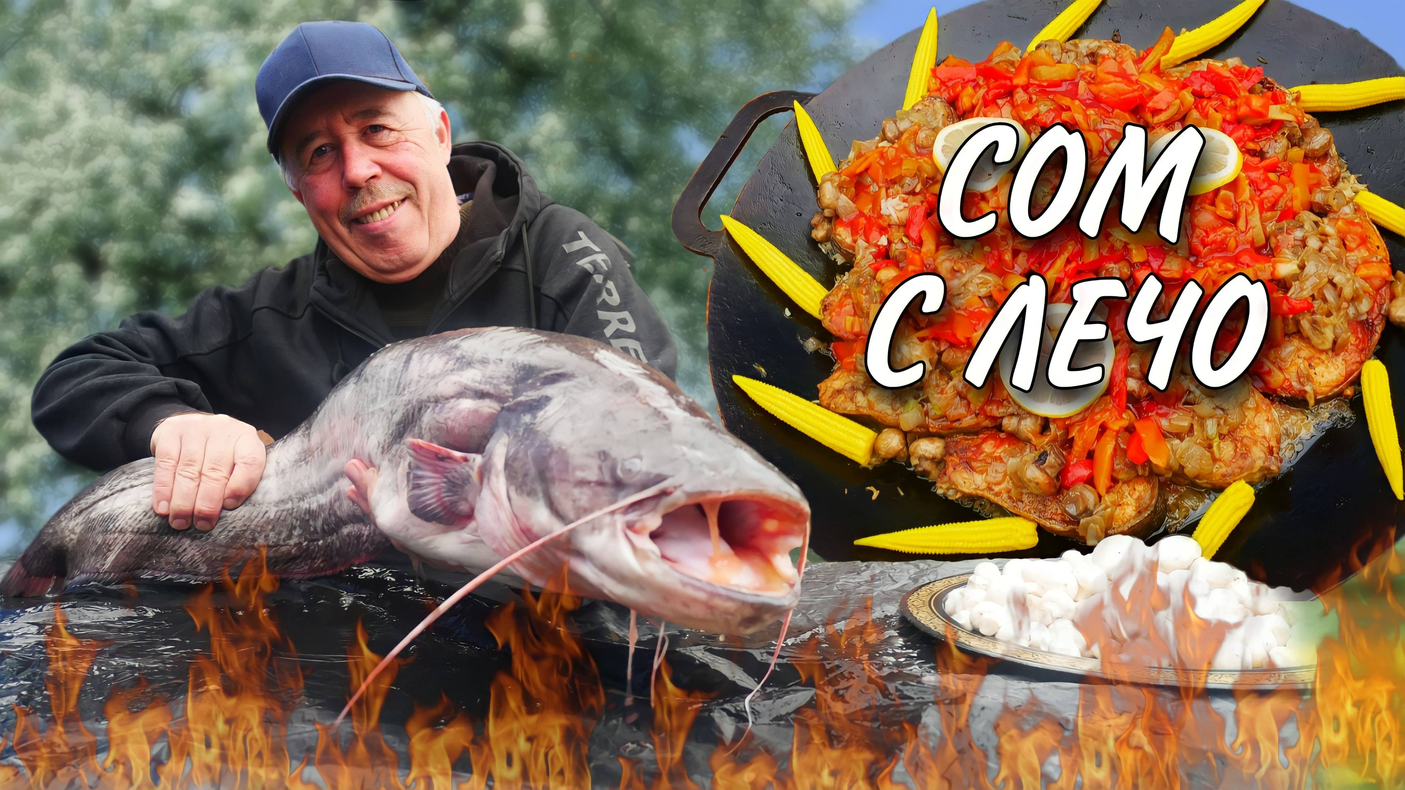 Сом на рисе, под шубой из лечо в сковороде