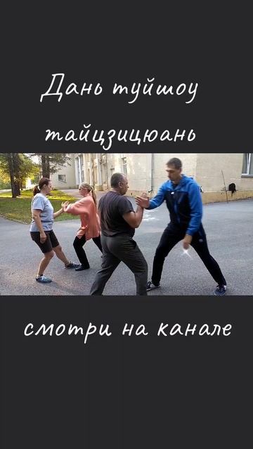 Дань туйшоу тайцзицюань