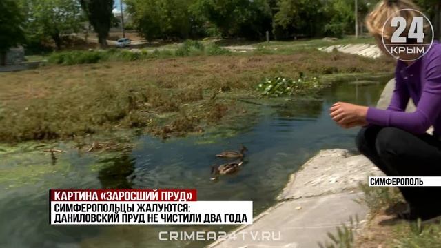 Даниловский пруд в Симферополе превратился в болото