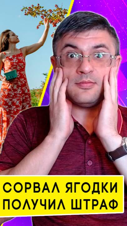 Как не получить штраф за сбор ягод – что нельзя собирать