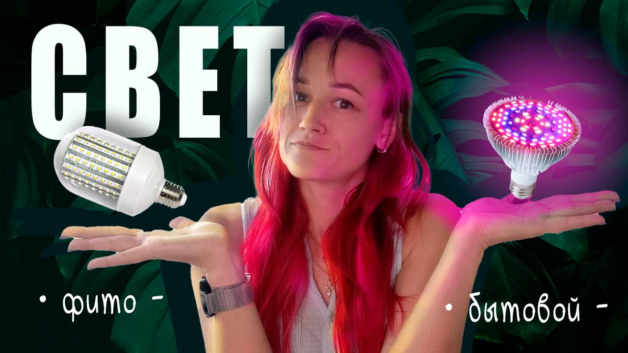 Нужна ли ПОДСВЕТКА для растений? / ФИТО-лампы или БЫТОВЫЕ — как выбрать?