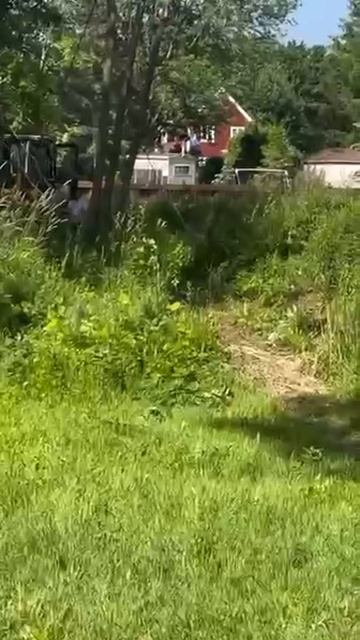 Работают профессионалы, спасайся кто может!