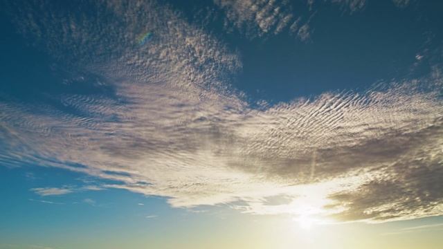 Maybe I'll come back someday.