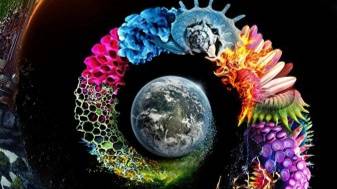 Неизвестная планета Земля 10 серия «Дом» | NAT Geo