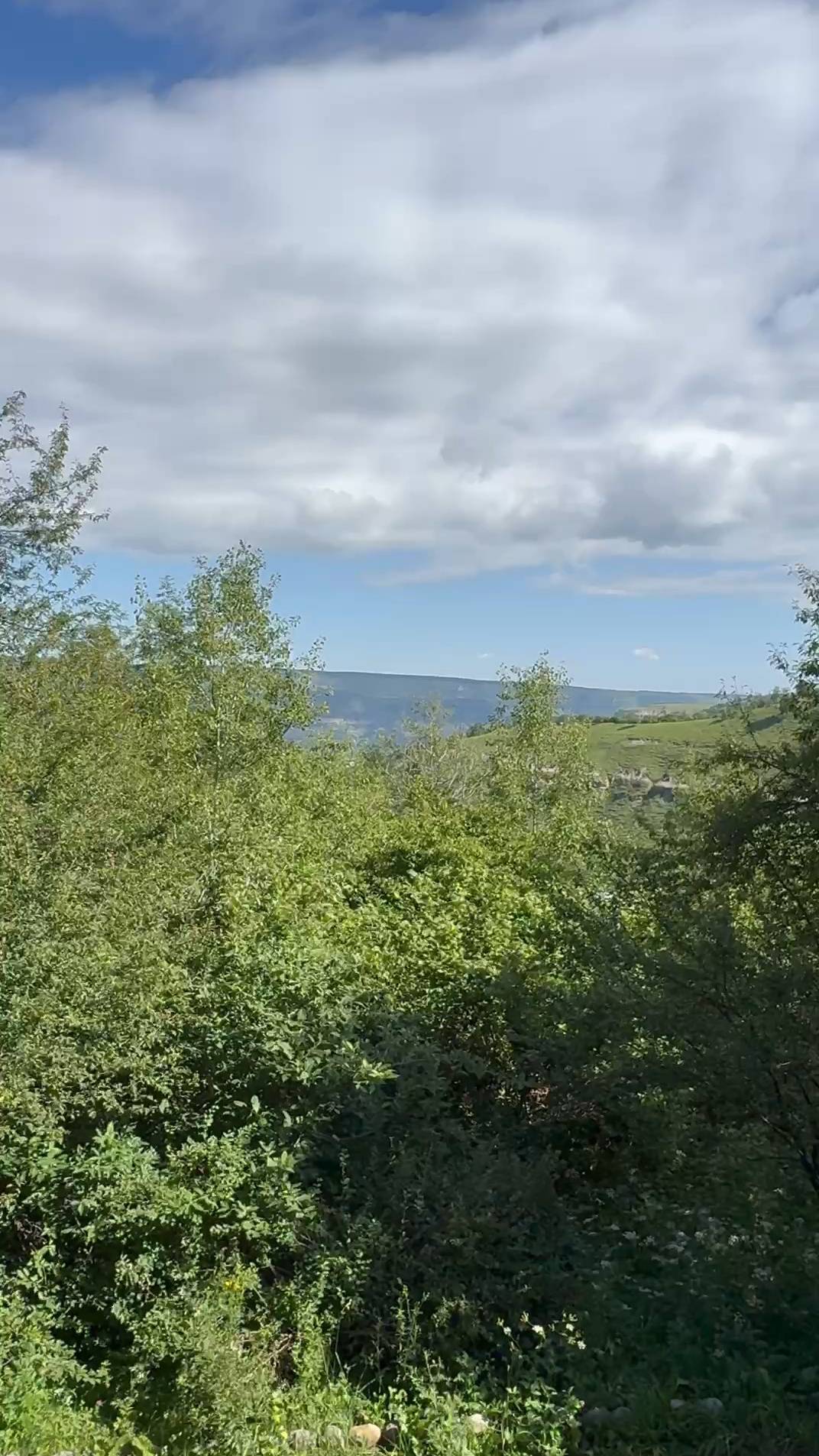 Любуюсь Боргустанским хребтом из Кисловодского парка - здесь хорошо мечтается