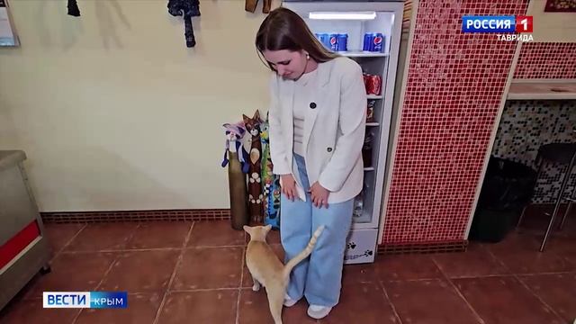 ВЕСТИ-КРЫМ «Звериные истории»: выпуск 02.07.2025