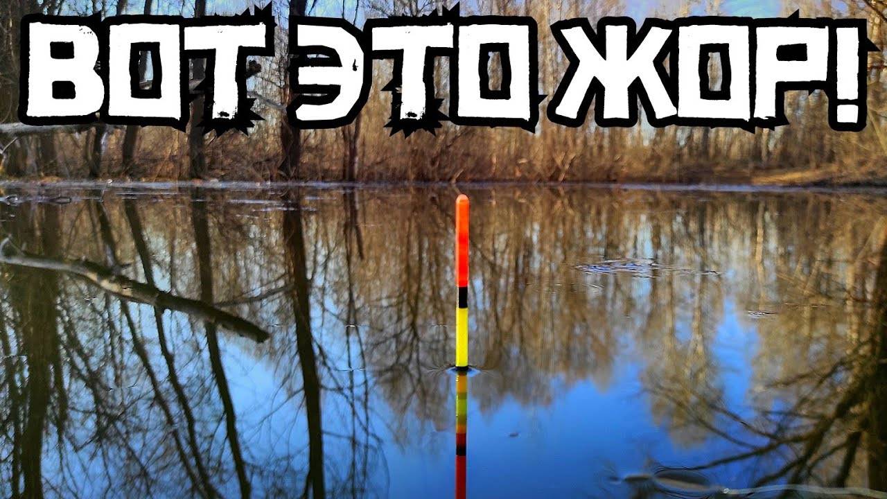 ЗАКИНУЛ в яму поплавок и НАЧАЛОСЬ! Нарвался в июне на КРУПНЯК! Рыбалка 2025