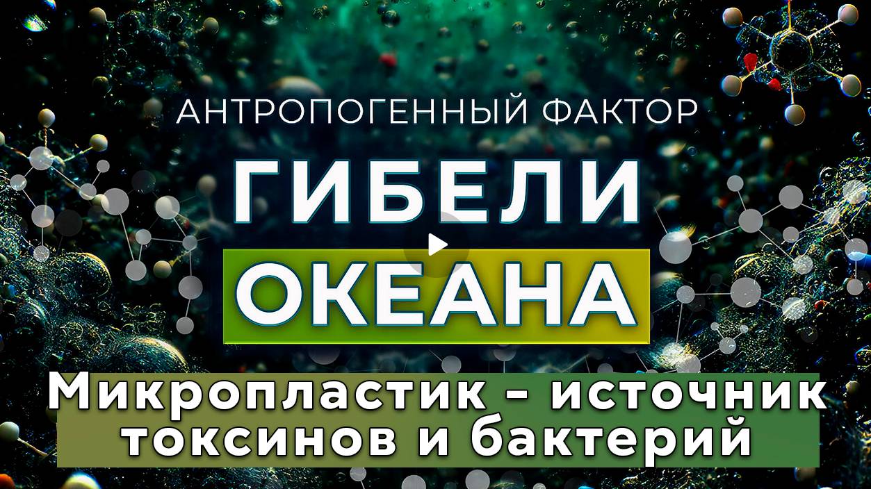 Гибель Океана : Микропластик - Источник токсинов и бактерий