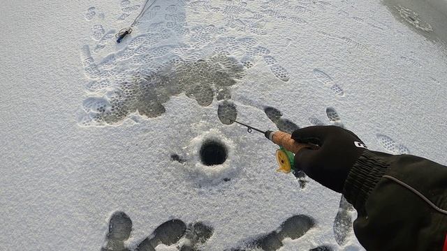 С блеснилкой за окунем. Можайское водохранилище