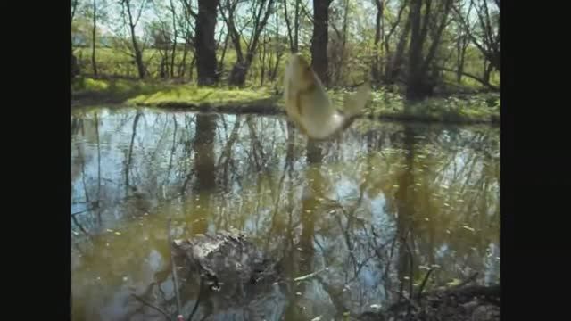 Жизнь в деревне - Такого не ожидал ! Ведро рыбы за час !
