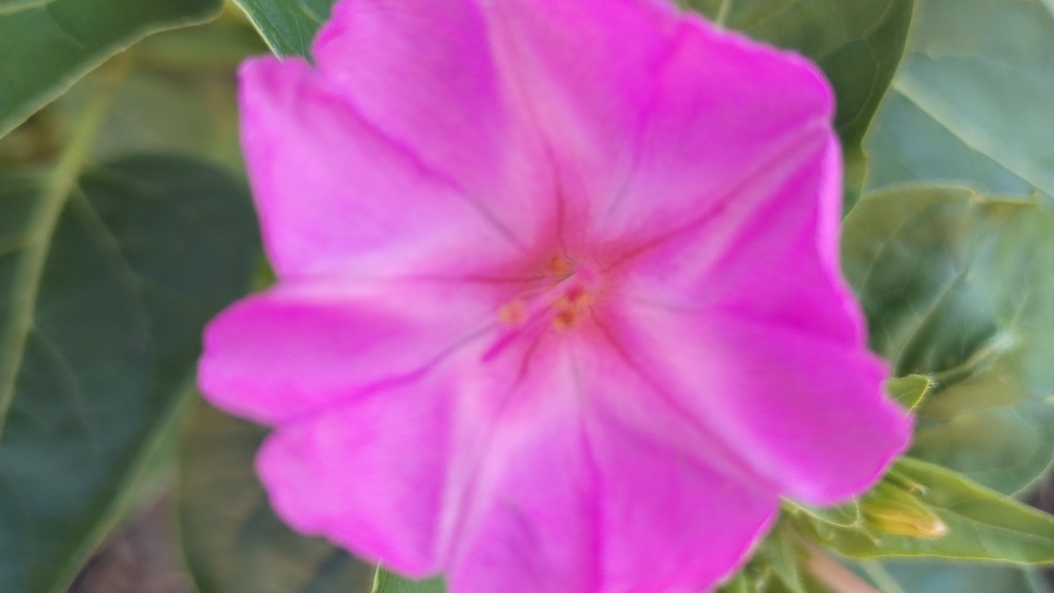 Вкусные мочалки 😍