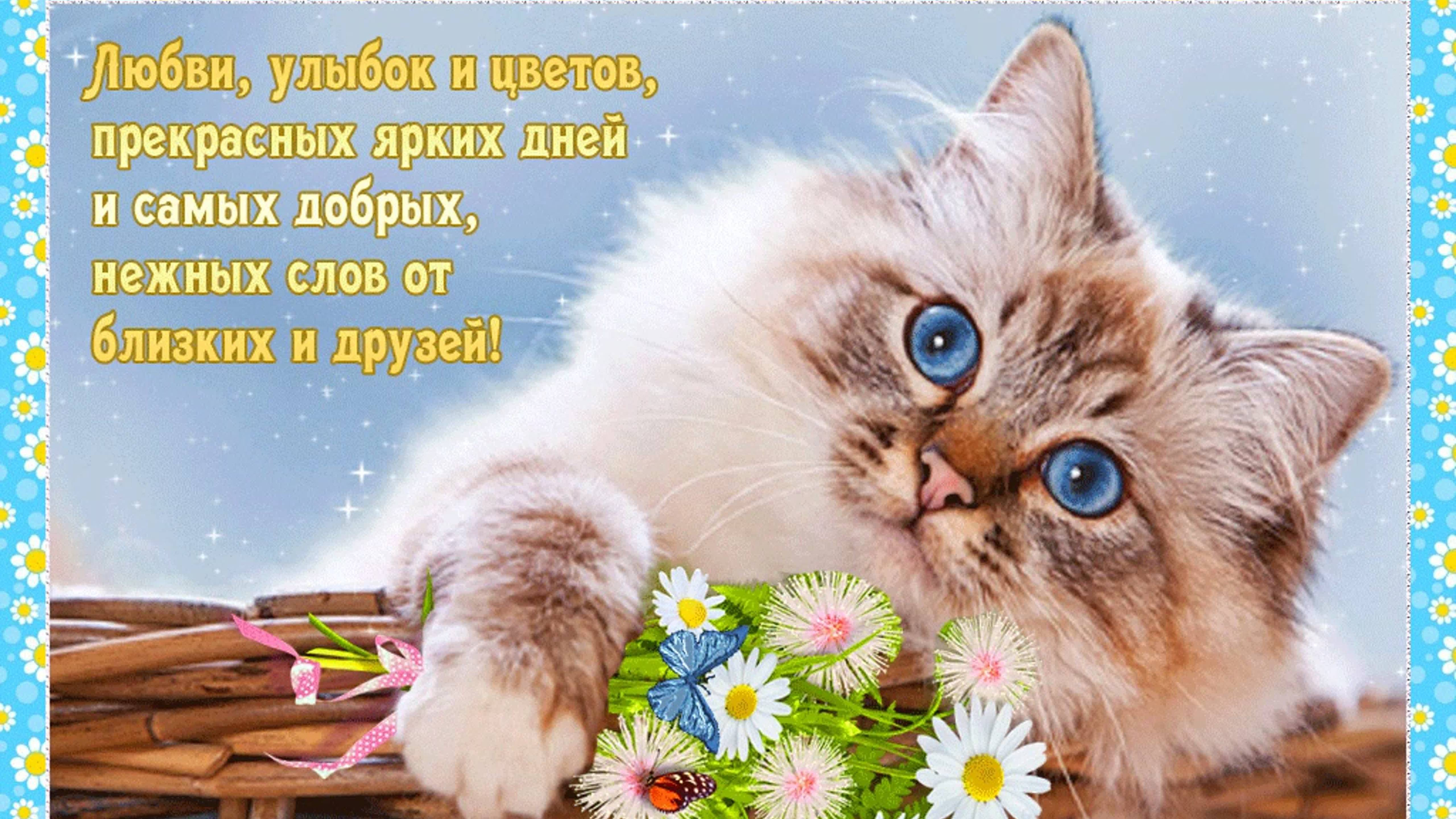 С днем рождения! Поздравительная музыкальная открытка. Желаю быть счастливой, мечтать и удивляться.