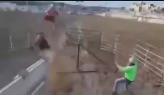 Качели и родео