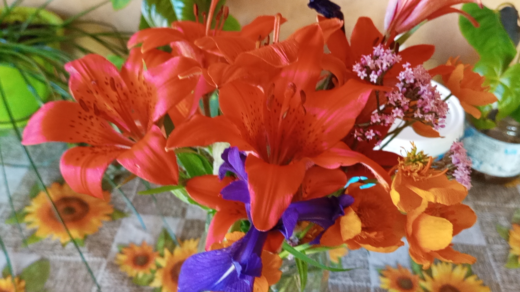 СЕЛЬСКИЕ БУДНИ 1-2.07.2025