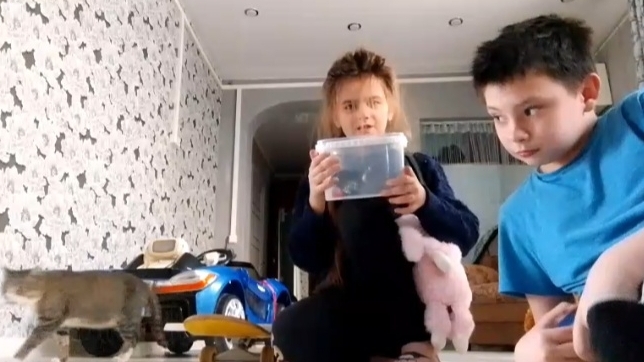 Челлендж пол это Лава