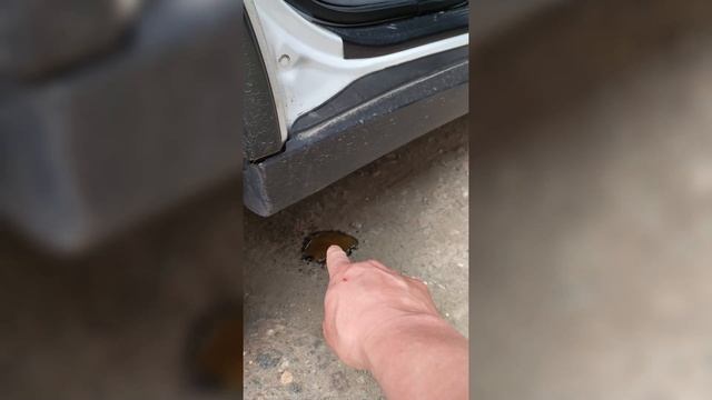 Дополнительная защита кузова АВТОМОБИЛЯ