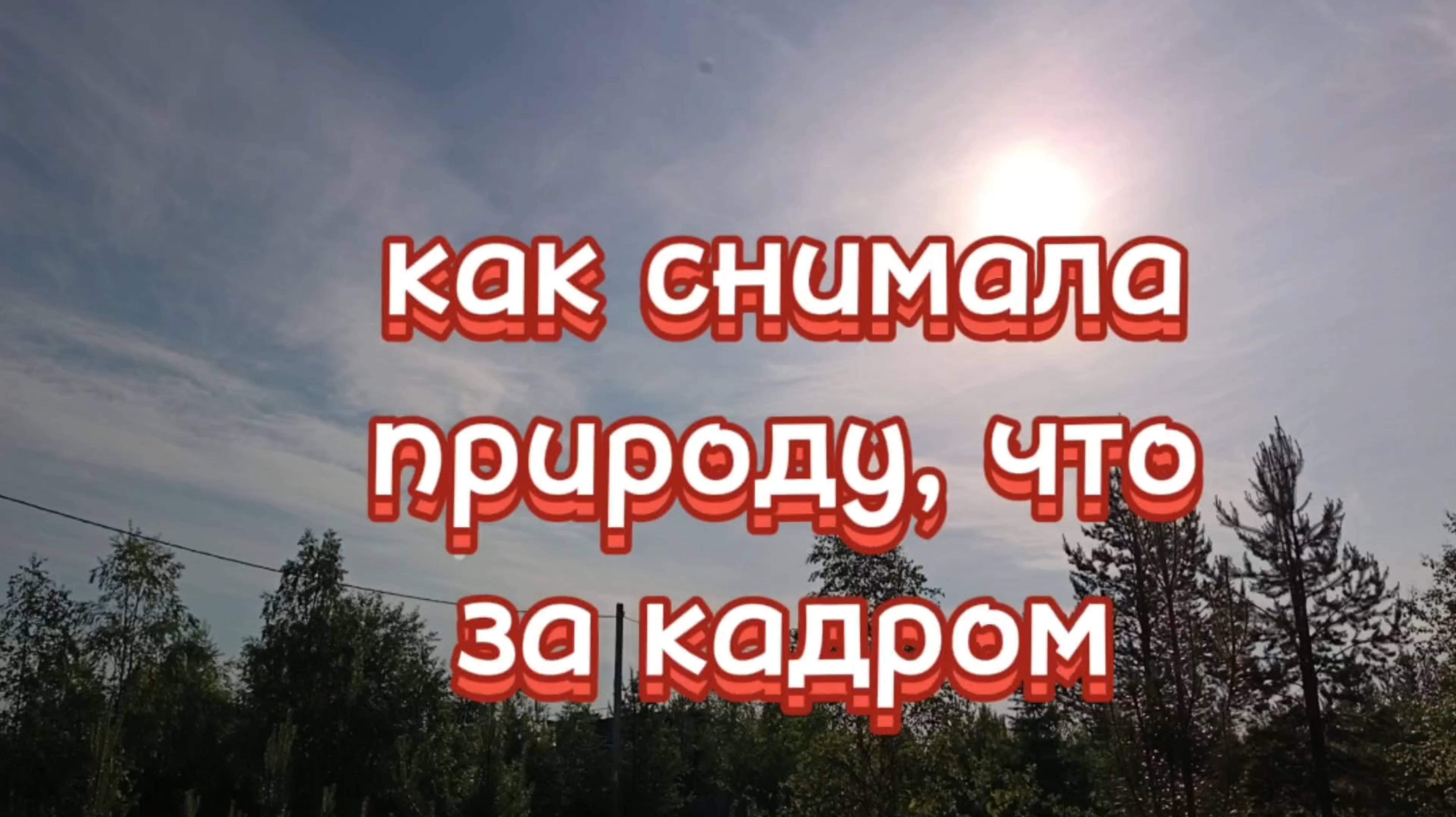 Съёмка природы, что за кадром.