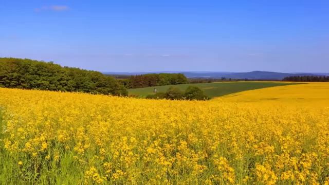 Наставления преподобного Амвросия Оптинского