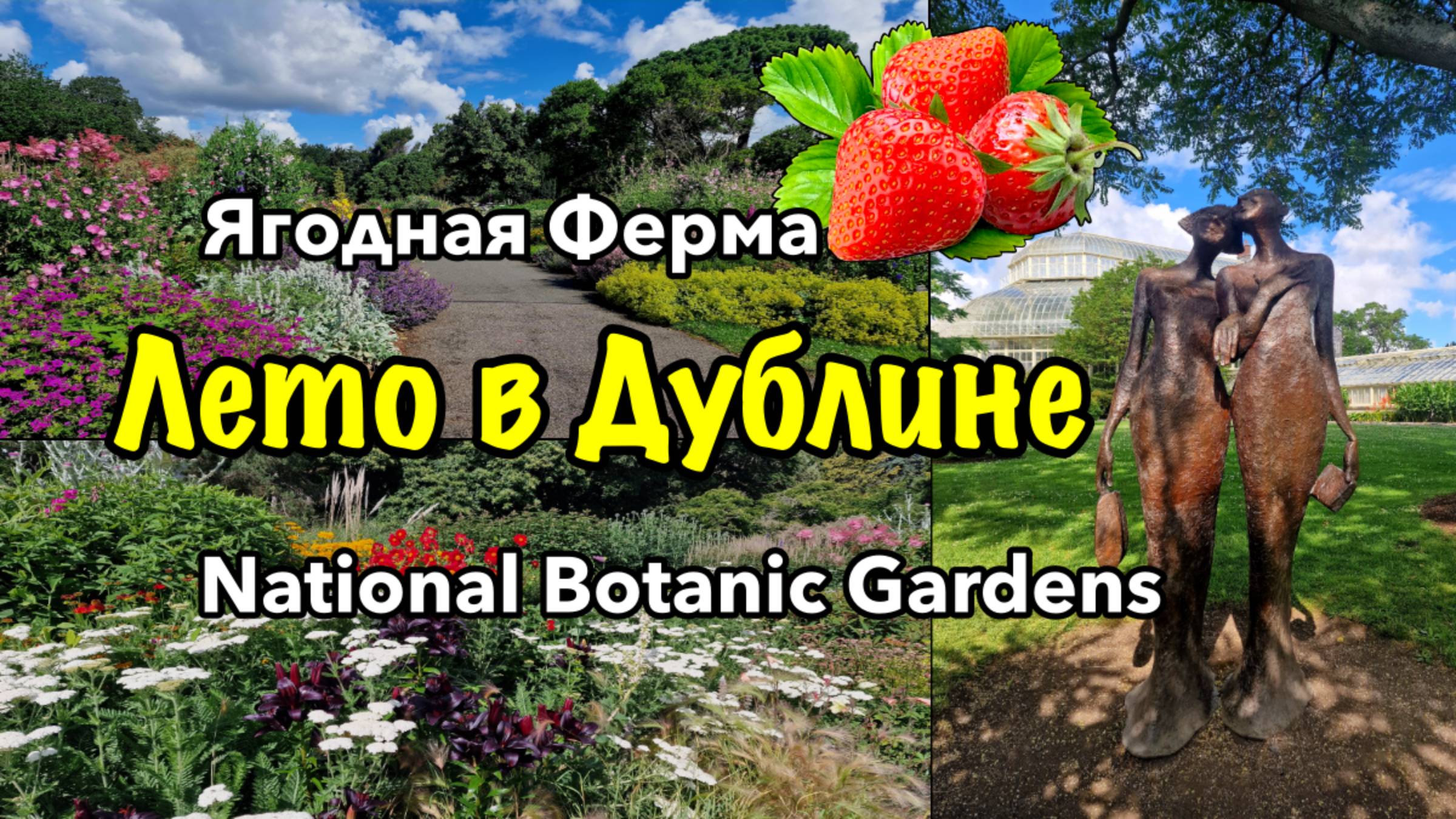 Ирландия🇮🇪Дублин/Ягодная Ферма/Ботанический Сад/Викторианская Оранжерея/Бесстрашные Белки/Черепахи