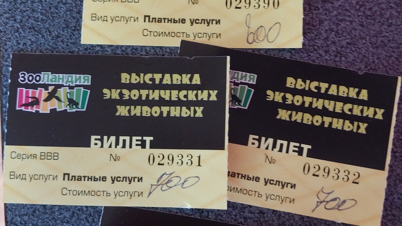 03-07-2025 Выставка экзотических животных🐒🐇🦇🦘🐢🐊🐍