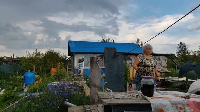 Приехали на дачу поработать, но дождь всё изменил