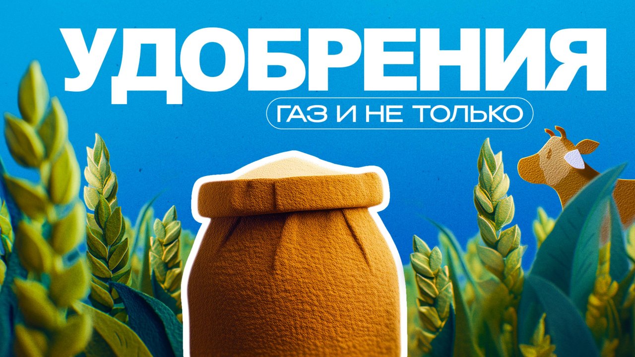 Удобрения | Газ и не только