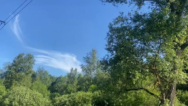 Ура! Наконец-то лето возвращается!