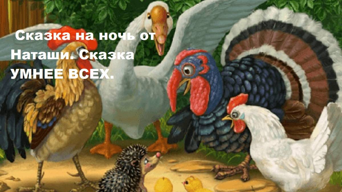 Сказка на ночь от Наташи. Сказка УМНЕЕ ВСЕХ.