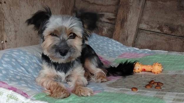 Даже йорика выбросили!