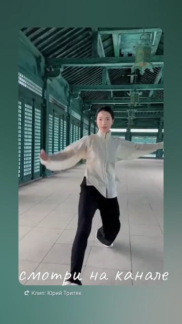 Юань Чжи Внутренние и внешние силы связаны Набор движений течет плавно.