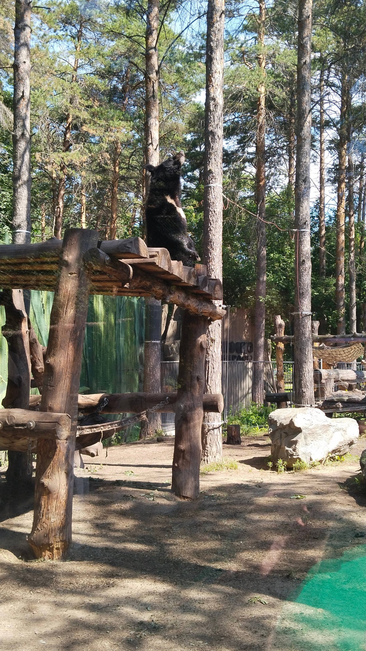 Славные пушистики. Новосибирский зоопарк