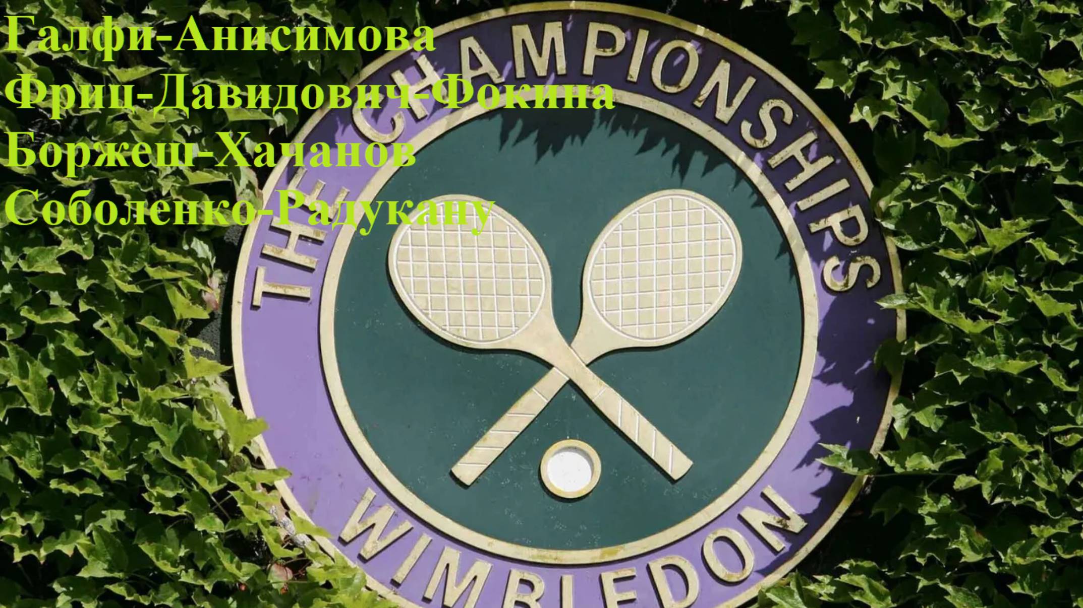 Уимблдон Галфи-Анисимова, Фриц-Д-Фокина, Боржеш-Хачанов, Соболенко-Радукану прогнозы на теннис 04.07