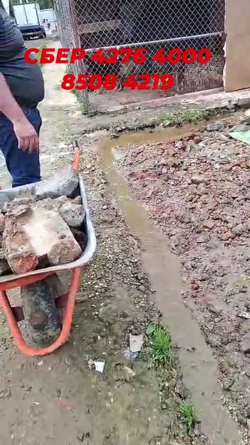 Приют тонет