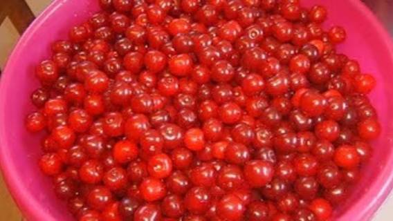 Вишня. Маринкины творинки. Всем МИРА и Добра!