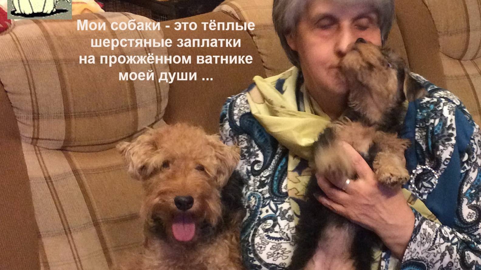 Всемирный День Собаки-2025