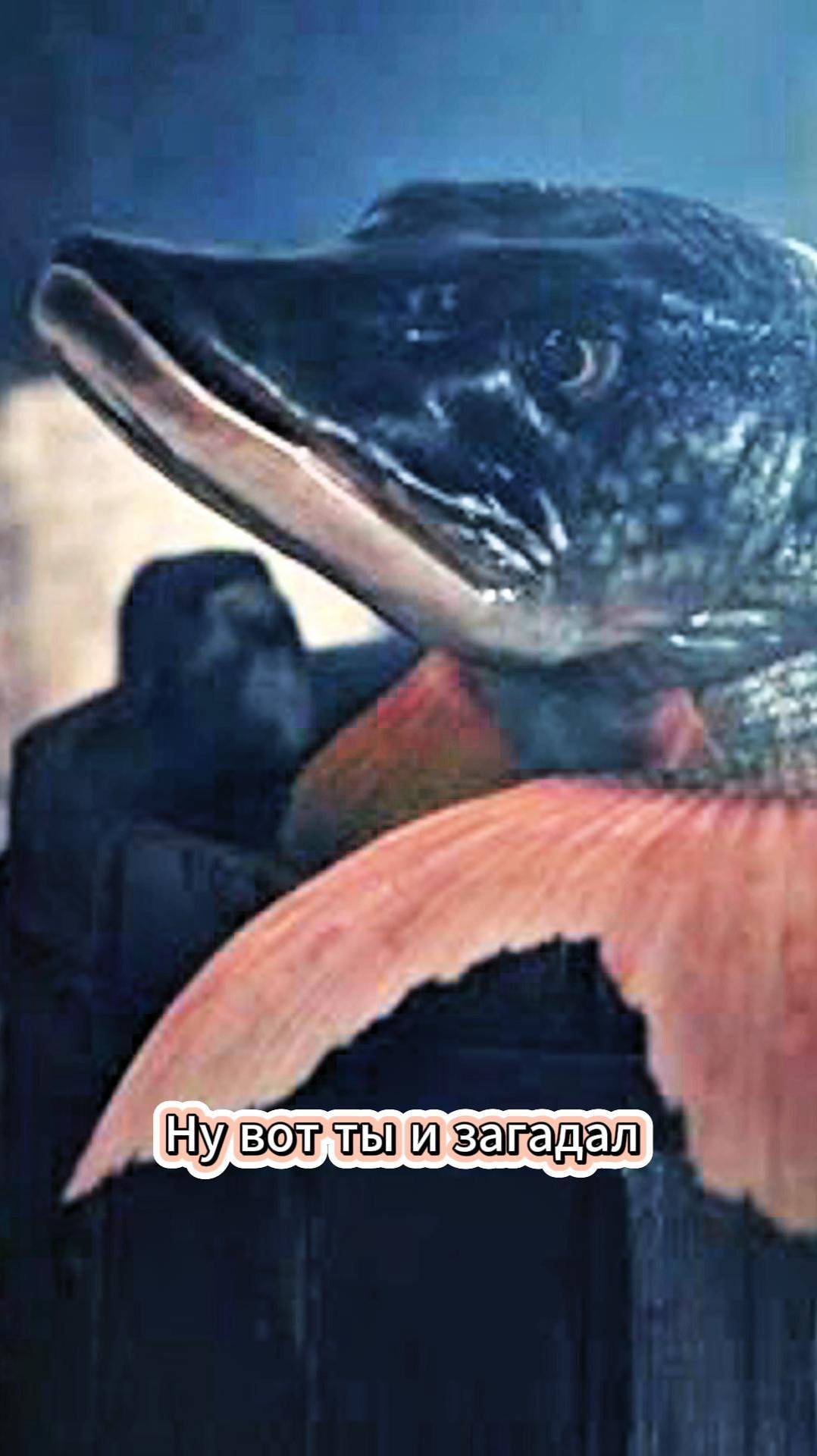 👉 Ну вот ты и загадал |По щучьему велению (фильм, 2023) | 
#shorts #сериал #топ #родное кино