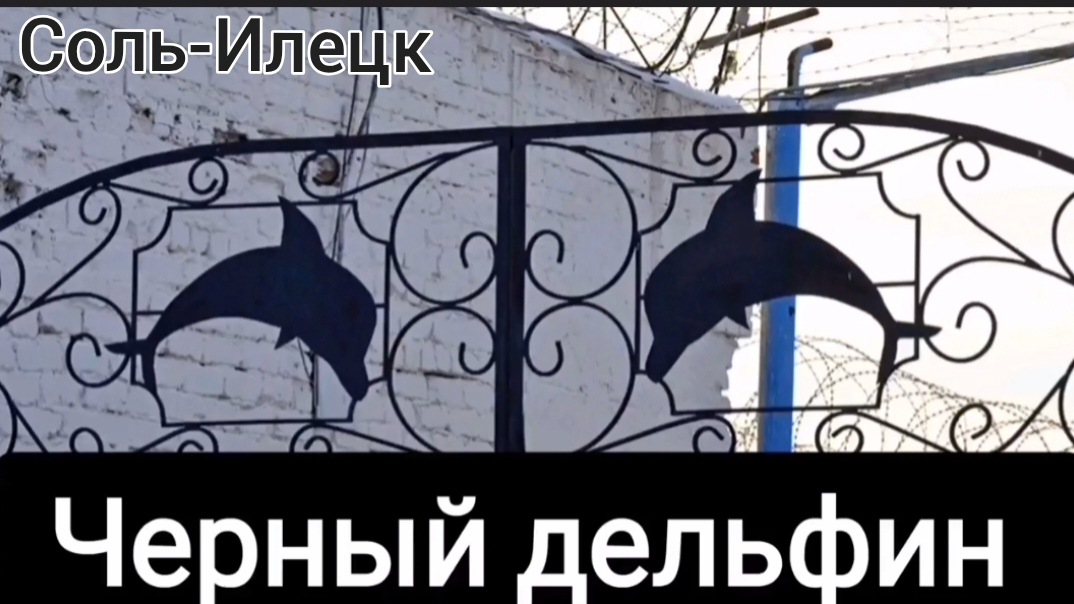 Соль-Илецк. Территория монстров "Черный дельфин“ 🐬 Магазин сувениров .