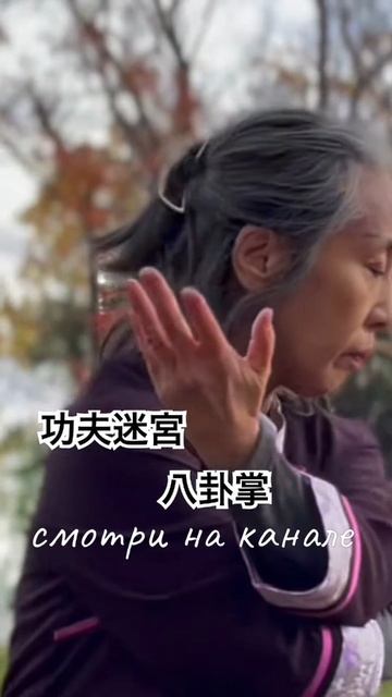 Лабиринты кунг-фу Ченши Багуачжан