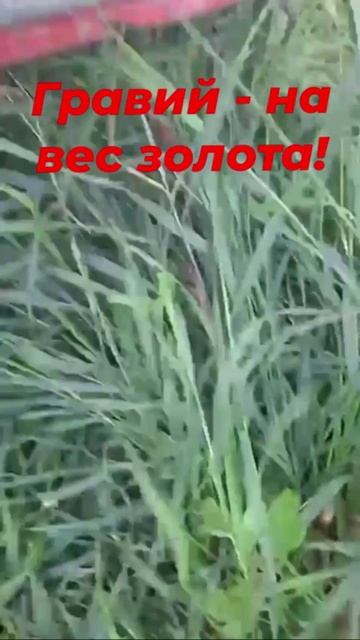 Нужен гравий, нужна помощь!