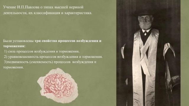 Теория высшей нервной деятельности И.П. Павлова 😊