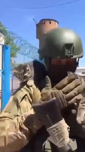 Мой лучший друг